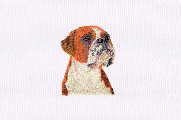 A Designer's Look at the Staffordshire Face Embroidery