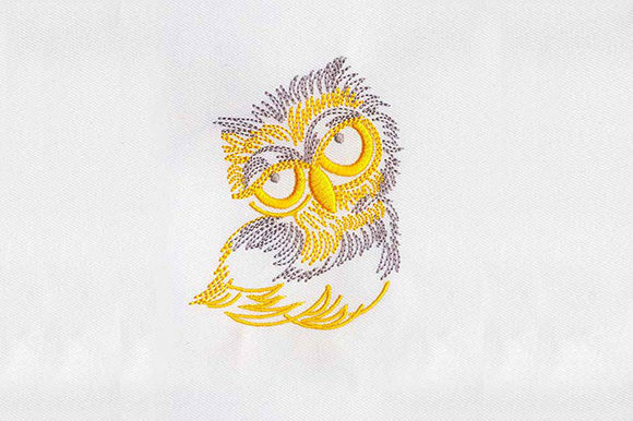 A Real-World Review of the Big Eyes Owl Embroidery