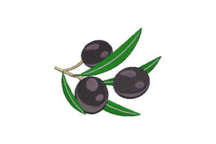 Black Olives Embroidery: A Designer's Review for Apparel