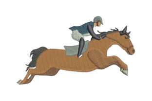 Evaluating the Horse Show Jumping Profile Embroidery Design