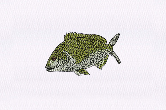 Reviewing the Green Fish Embroidery Design for Real Projects