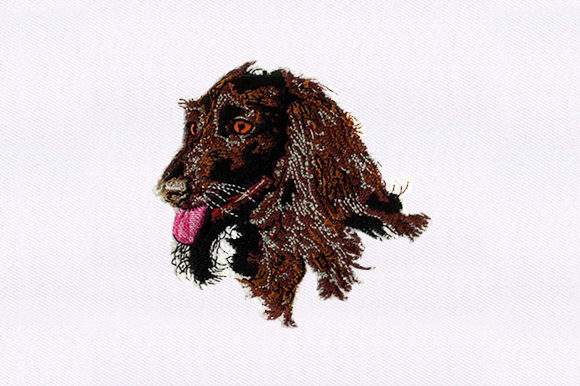 Why Afghan Hound Face Embroidery Makes Meaningful Gifts
